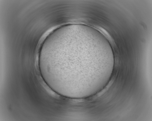 X0000113901196200910151349