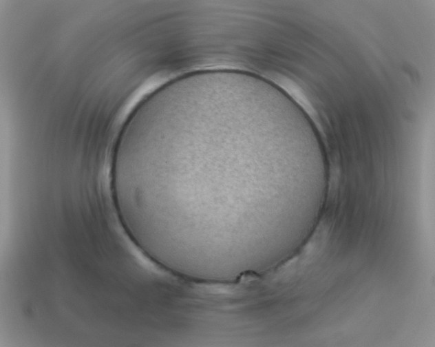 X0000113901197200910151349