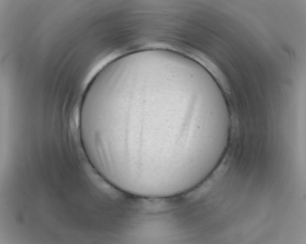 X0000113901198200910151348