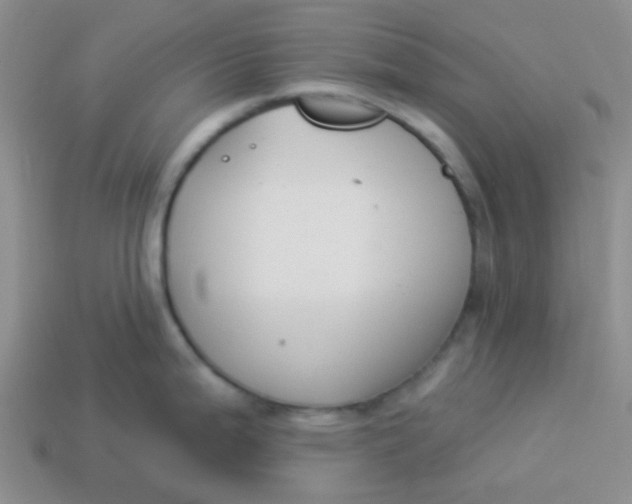 X0000113901199200910151348