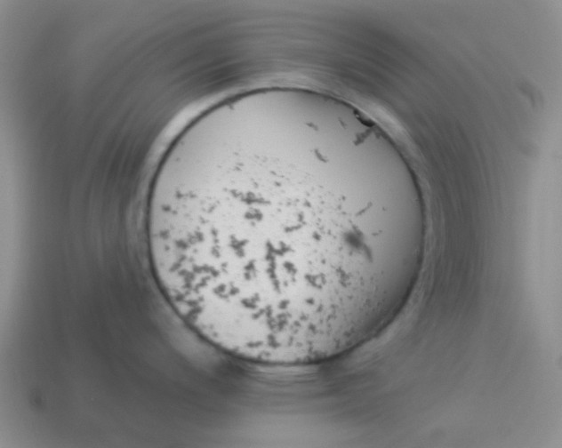 X0000113901200200910151348