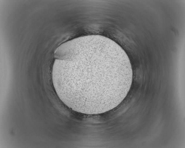 X0000113901201200910151348