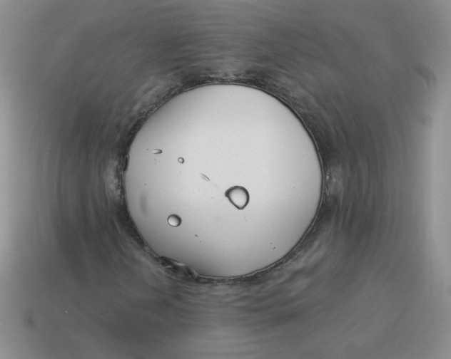 X0000113901202200910151348