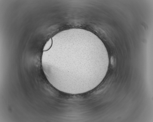 X0000113901203200910151348