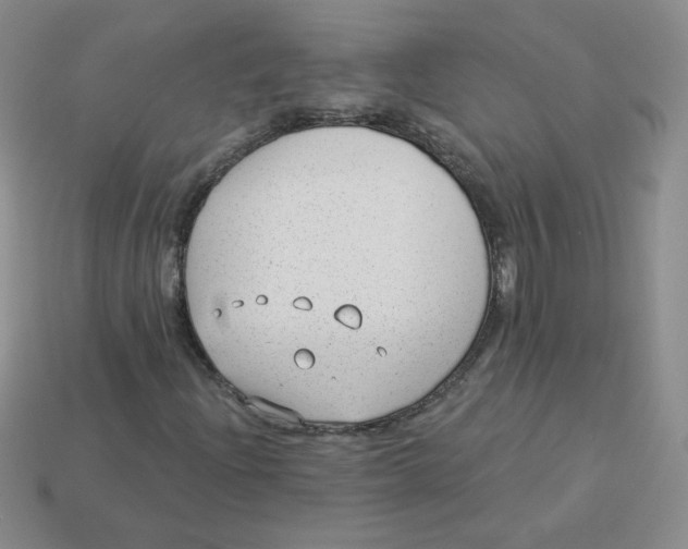 X0000113901204200910151348