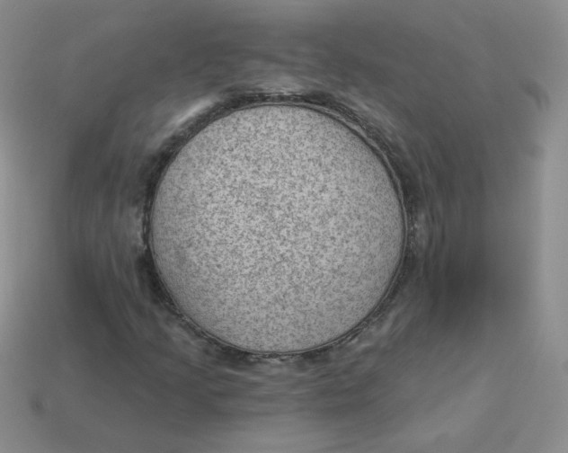 X0000113901205200910151348