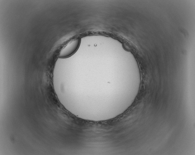 X0000113901207200910151348