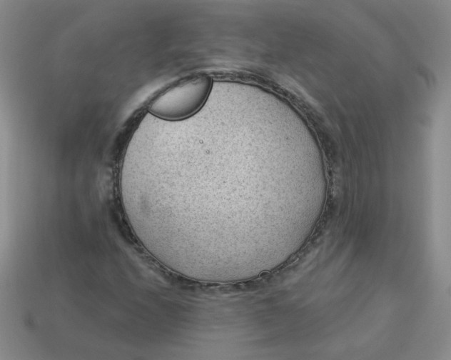 X0000113901208200910151348