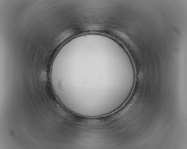 X0000113901209200910151348