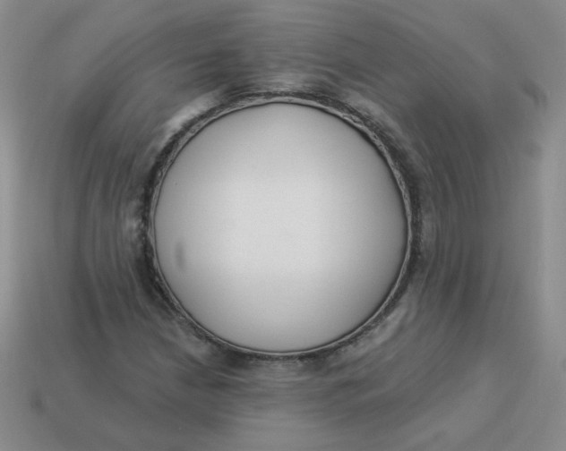 X0000113901210200910151348