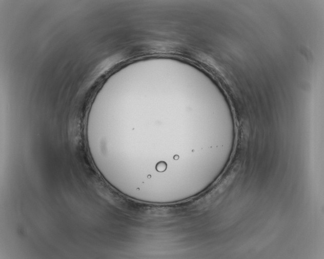 X0000113901211200910151348