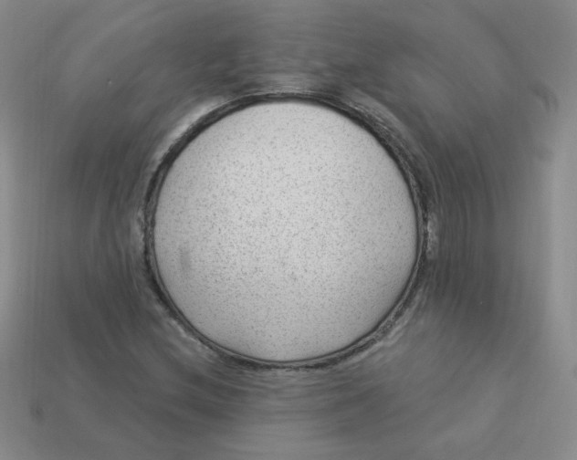 X0000113901212200910151348