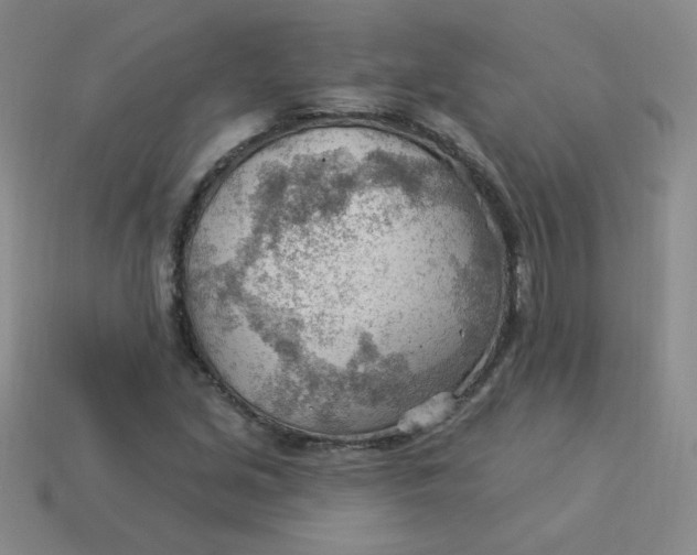 X0000113901213200910151348