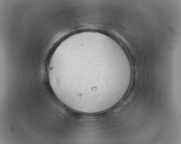 X0000113901215200910151348