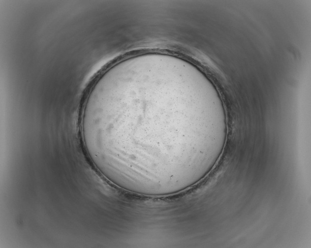 X0000113901216200910151348