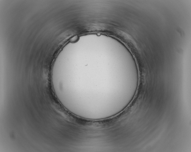 X0000113901217200910151348