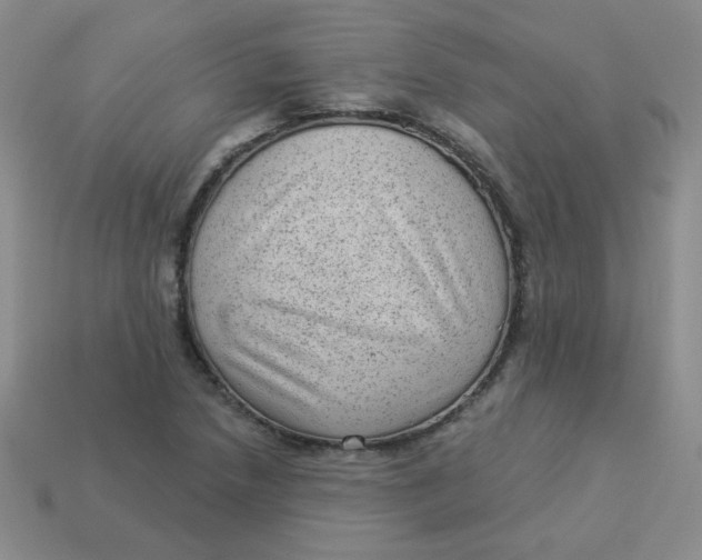 X0000113901218200910151348