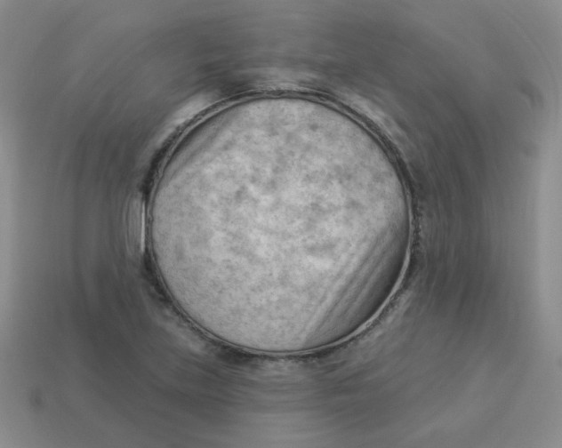 X0000113901219200910151348