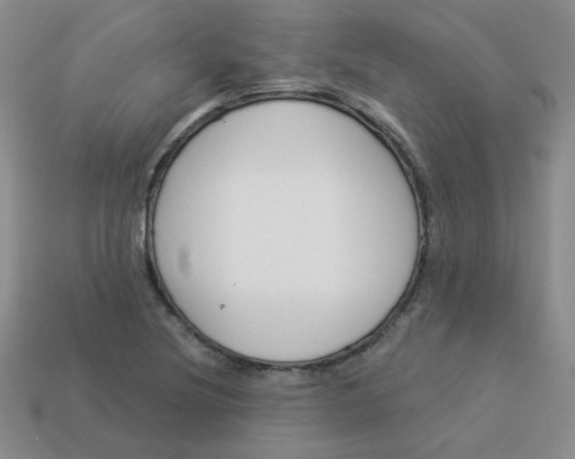 X0000113901220200910151348