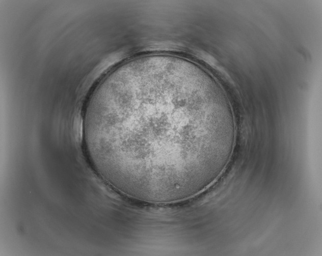 X0000113901221200910151348