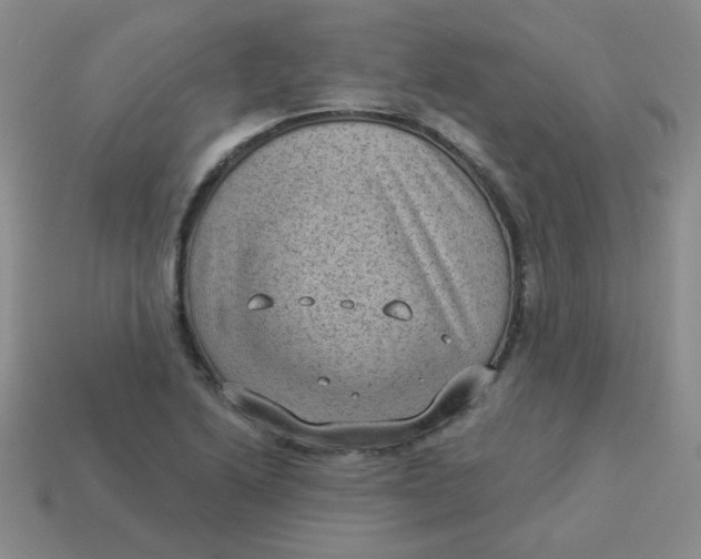 X0000113901222200910151348