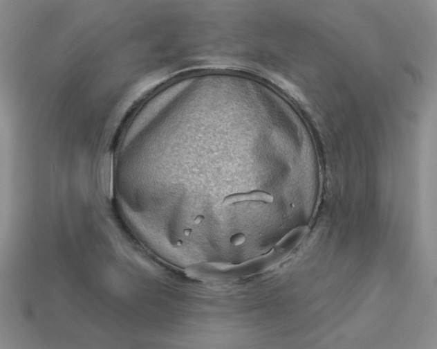 X0000113901223200910151348