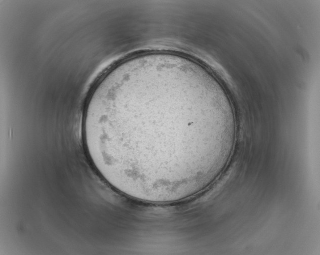 X0000113901224200910151348