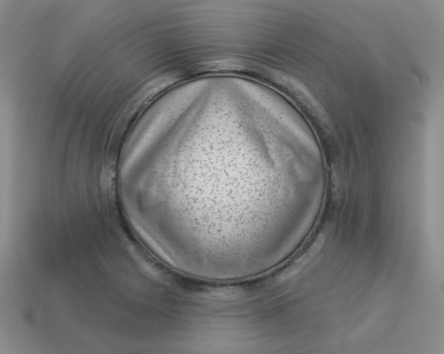 X0000113901225200910151348