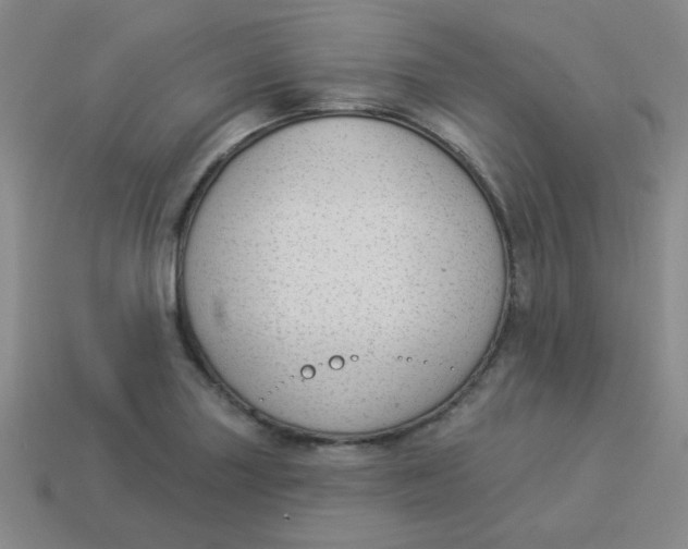 X0000113901227200910151348