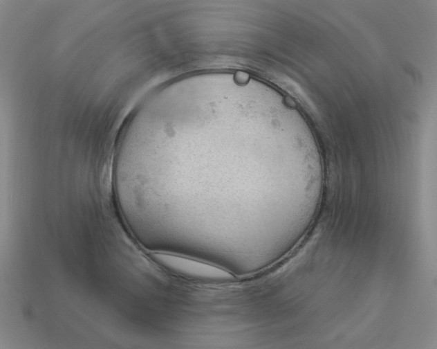 X0000113901228200910151348