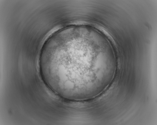 X0000113901229200910151348