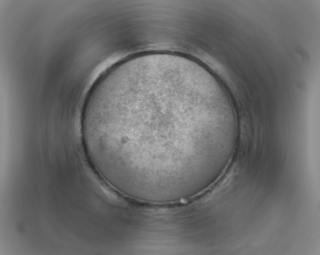 X0000113901230200910151348