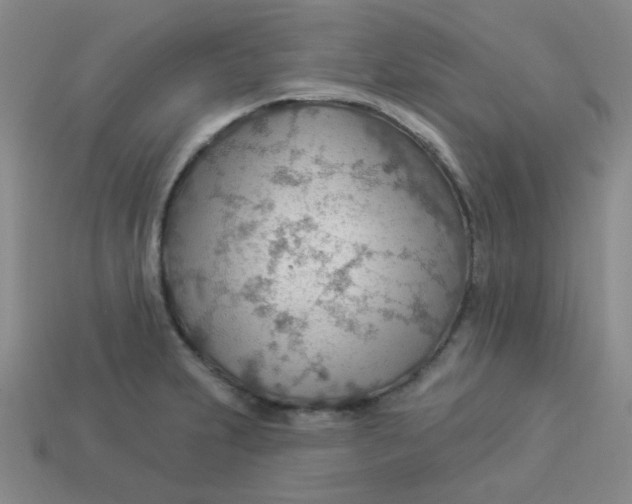 X0000113901231200910151348