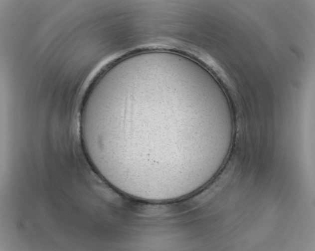 X0000113901232200910151348