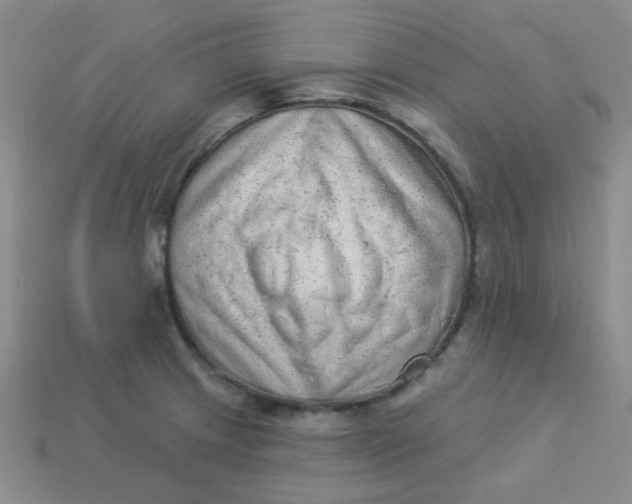 X0000113901233200910151348