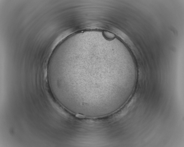 X0000113901234200910151348