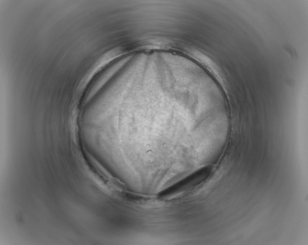 X0000113901235200910151348