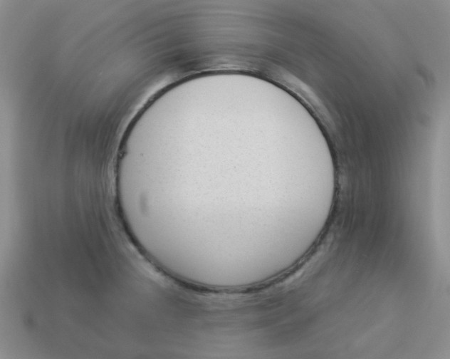 X0000113901236200910151348