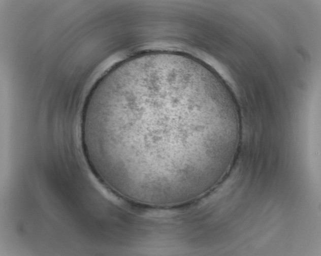 X0000113901237200910151348