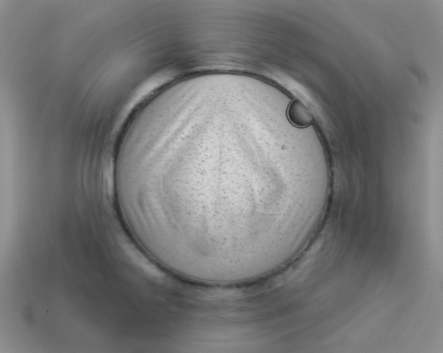 X0000113901238200910151348