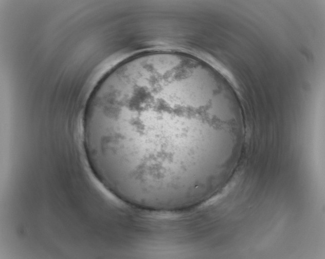 X0000113901239200910151348