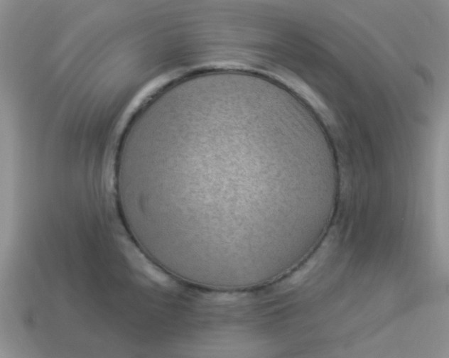 X0000113901240200910151348