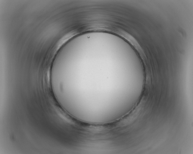 X0000113901242200910151348