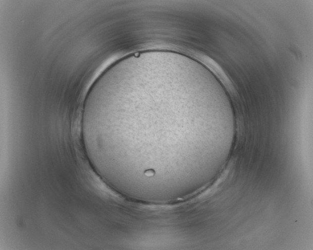 X0000113901244200910151348