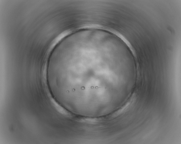 X0000113901245200910151348