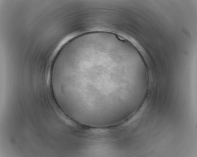 X0000113901246200910151348