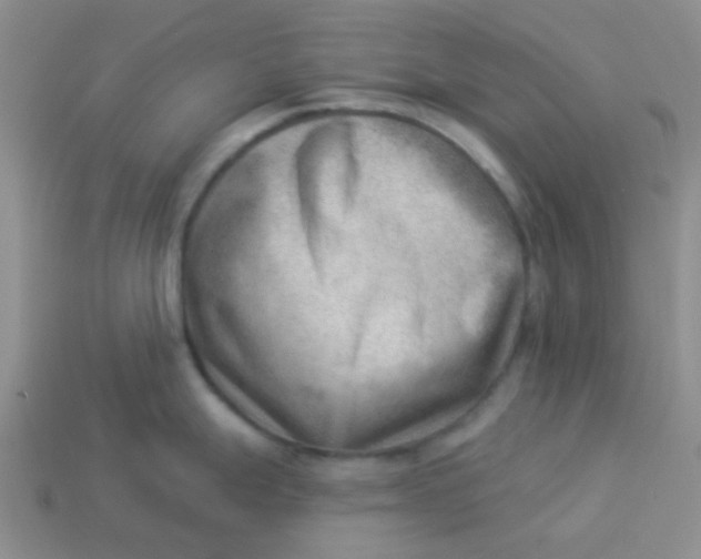 X0000113901247200910151348