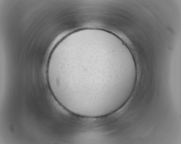 X0000113901248200910151348