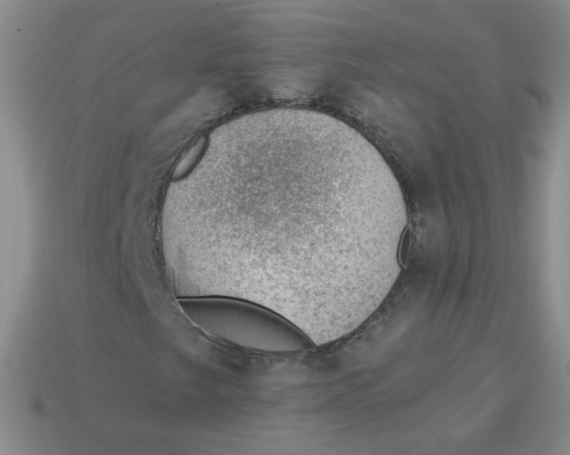 X0000113901249200910151348