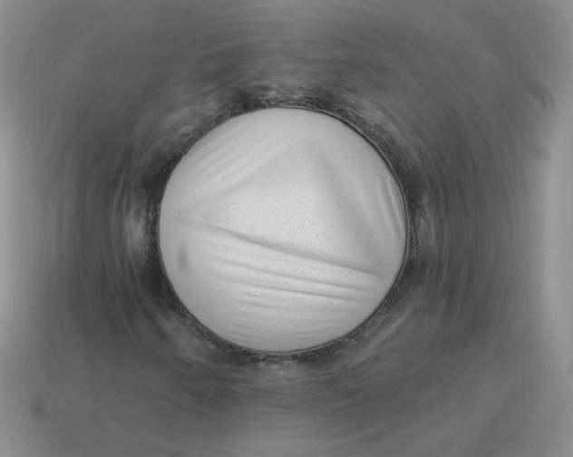 X0000113901250200910151348